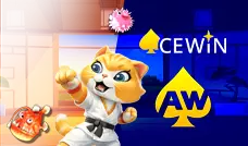Acewin slot games provider