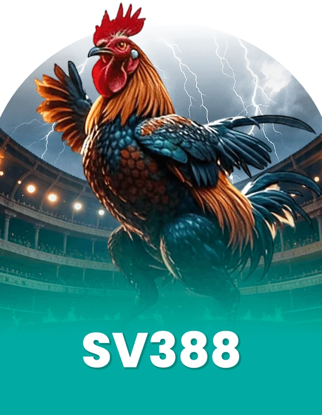 Cockfight live stream Malaysia — SV388 at xe8