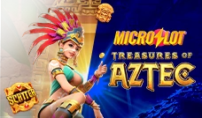 MicroSlot slot games provider