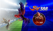 SV388 sports betting provider