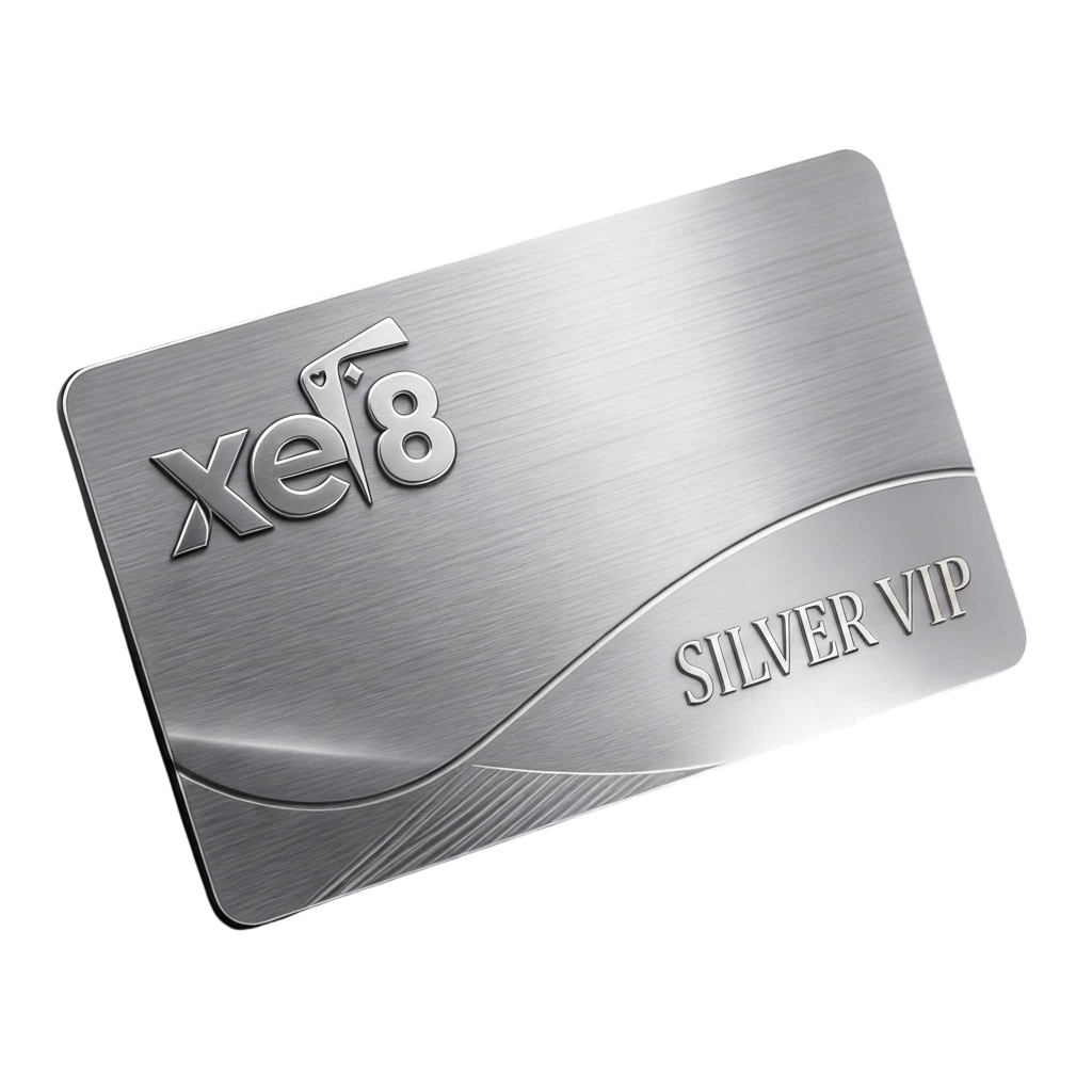 xe8 Silver VIP membership card